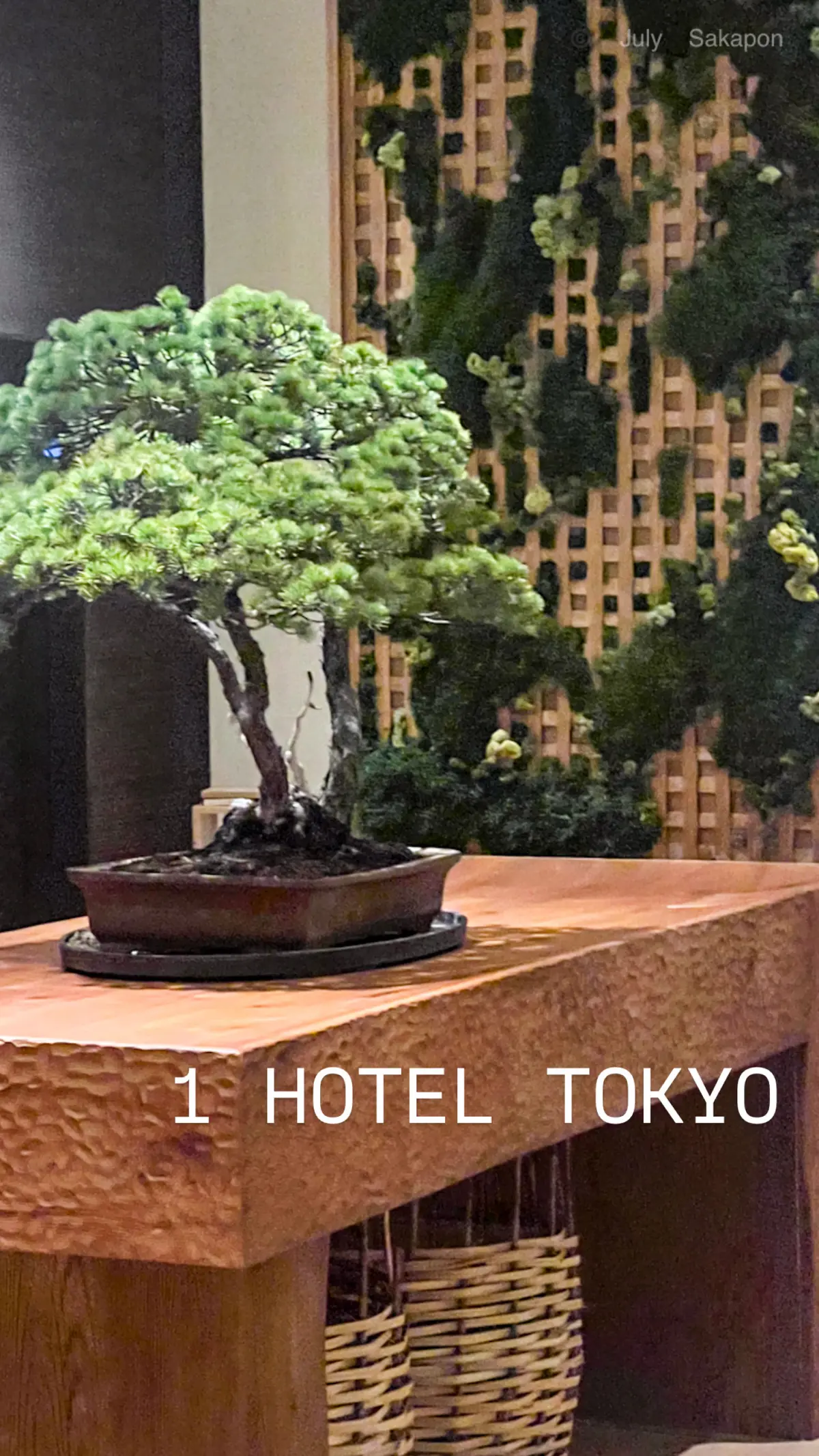 春スカート☘️オールホワイトコーデで日本の画像_12