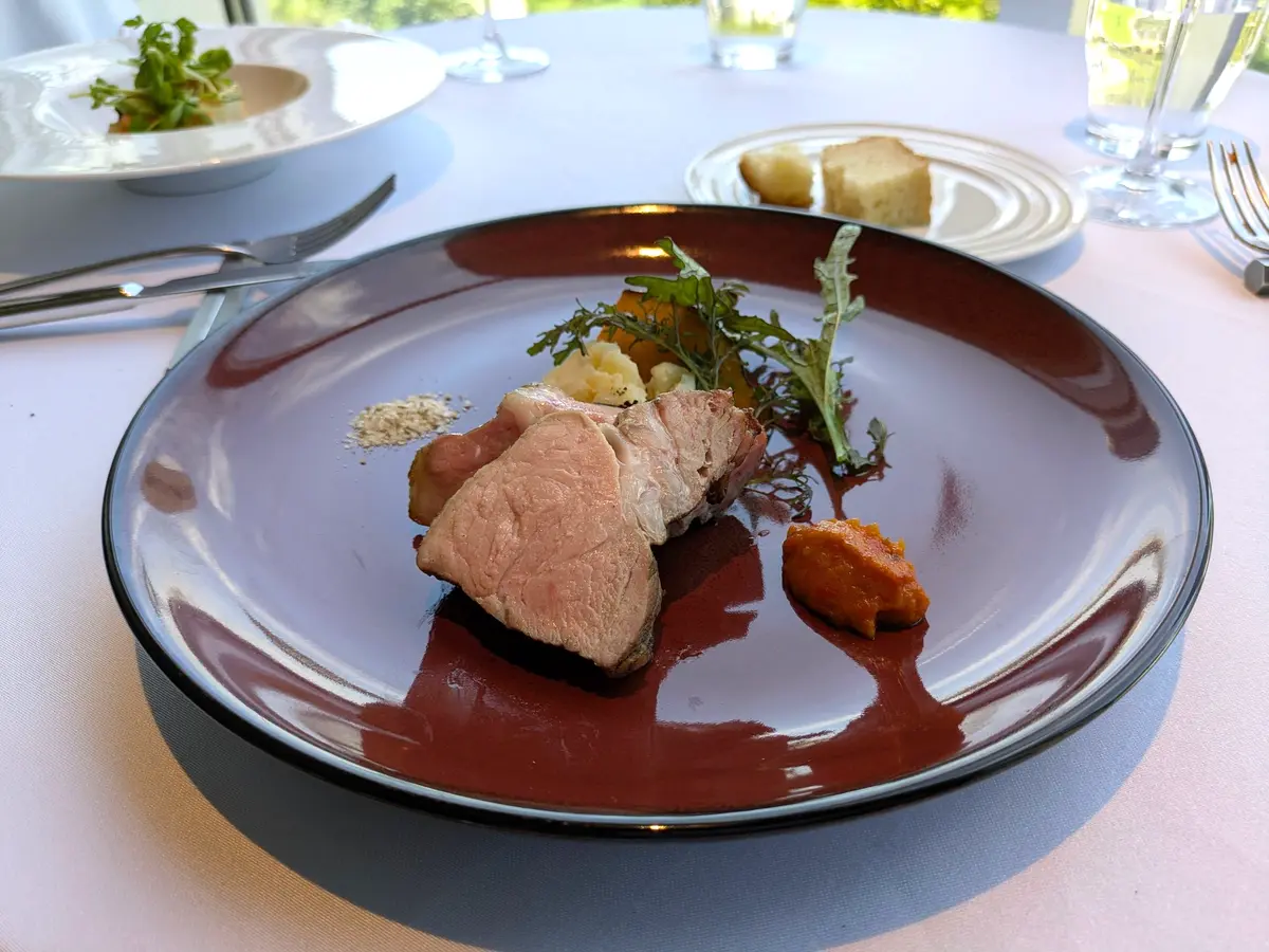 ブラウンのディッシュプレートに、薄くスライスした肉、ジャガイモのグラタン、緑の葉野菜、トマトソースが添えられている。