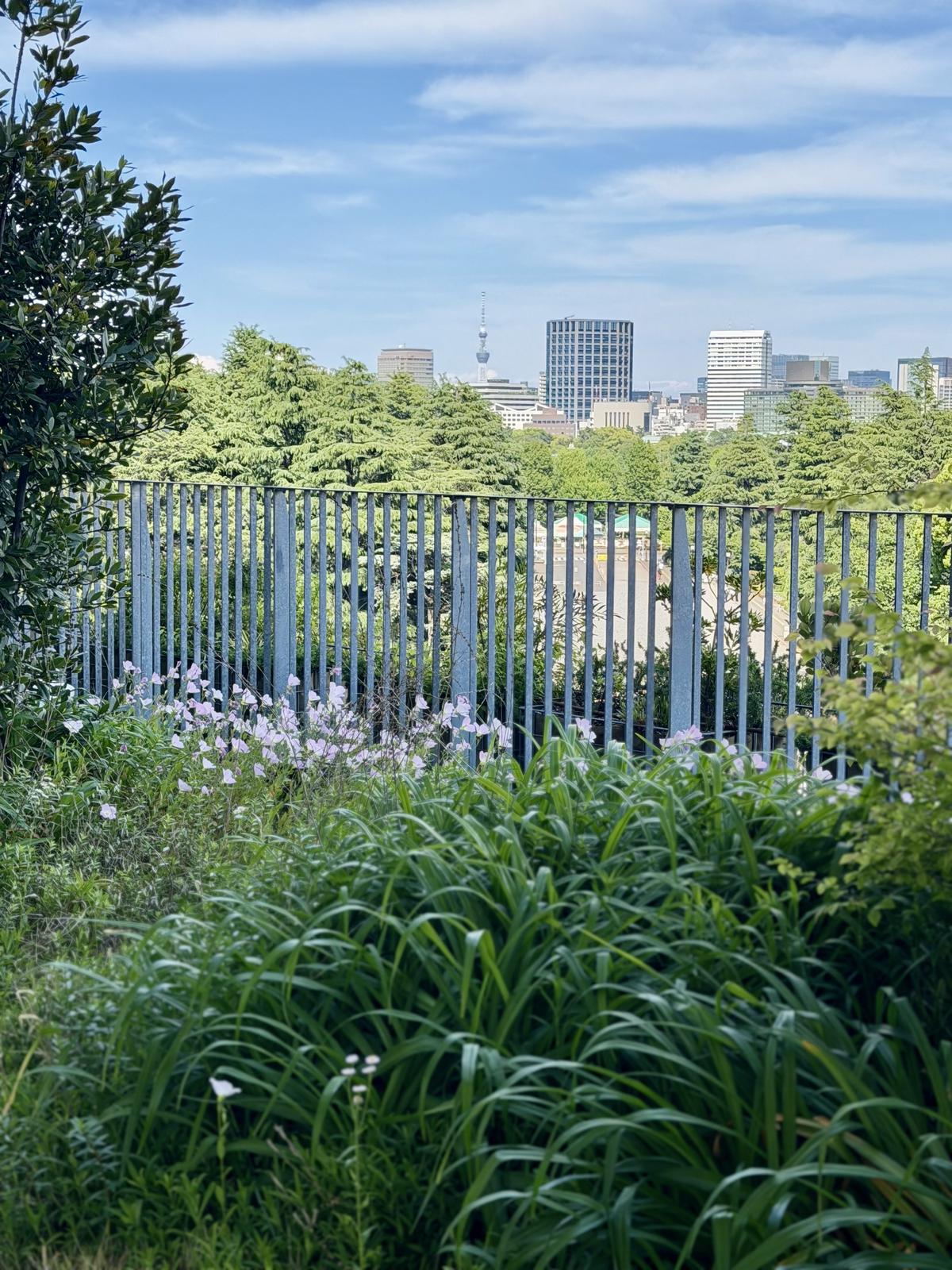 方角によっては東京スカイツリーが見えます