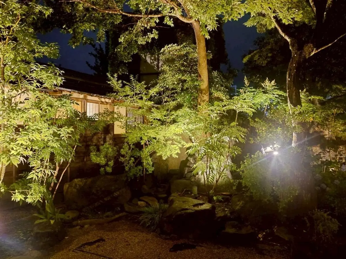 佐原商家町ホテルNIPPONIAのAOIの庭園。ライトアップされた緑豊かな木々と岩が配置され、砂利敷きの地面が広がる。背景には建物の窓が見える。