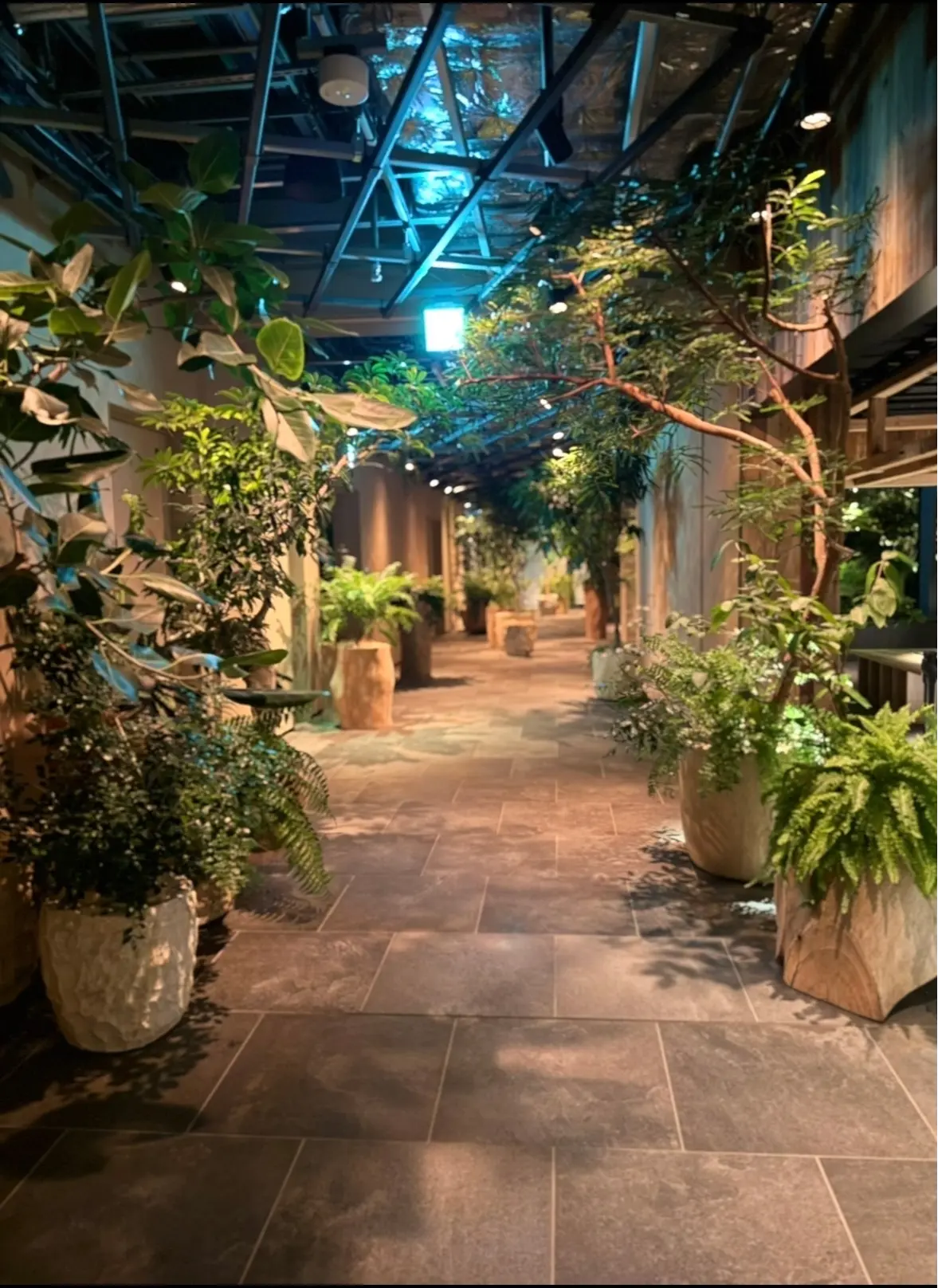 NEWoMan高輪28階の空中庭園は美しの画像_10