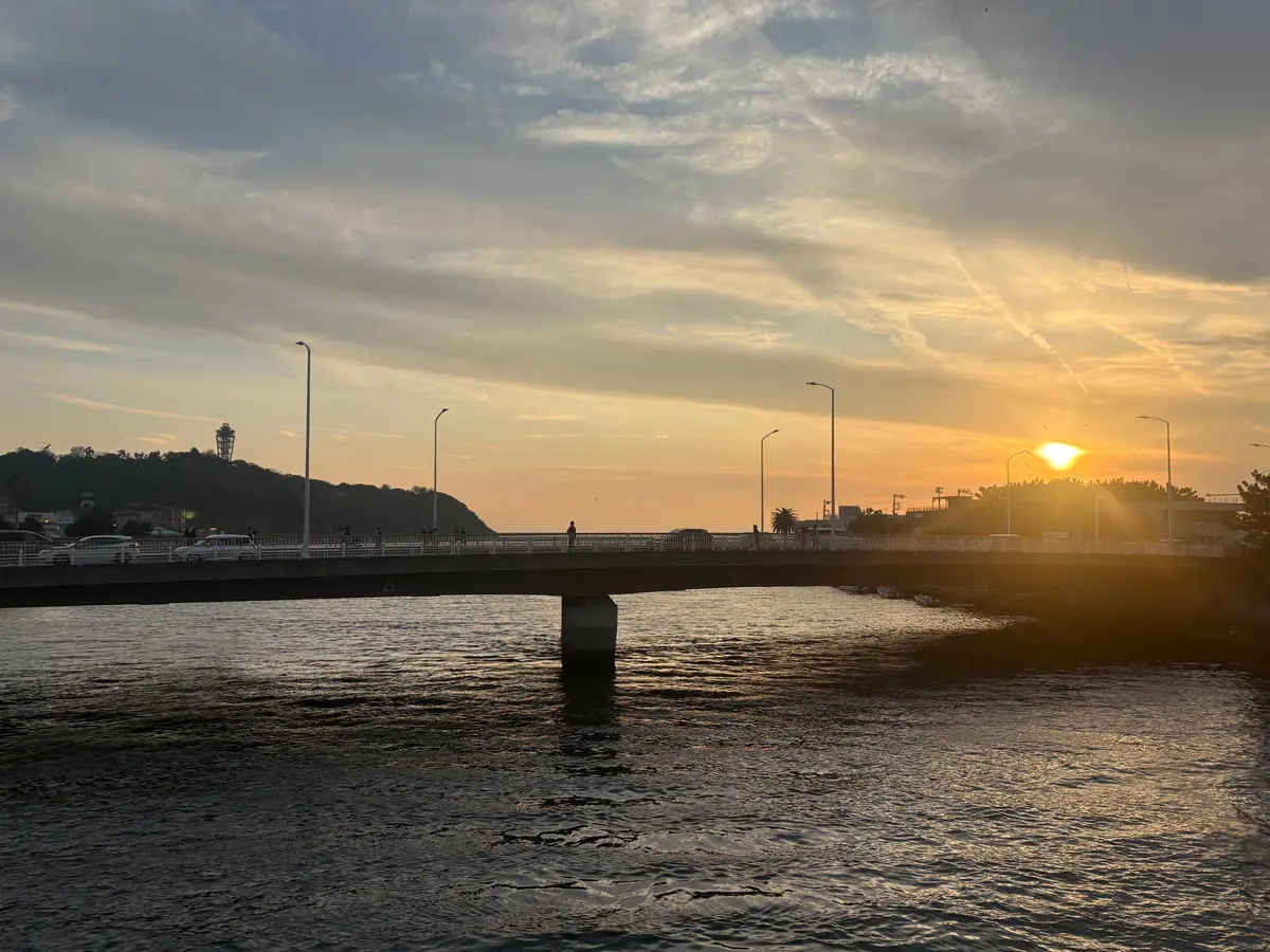 鎌倉　長谷寺の梅のライトアップの画像_2