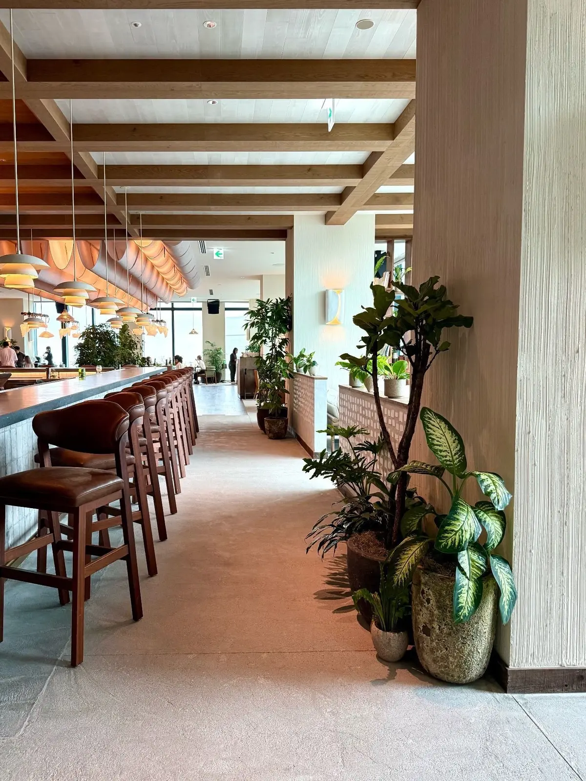 １Hotel Tokyo ３８階　レストラン「NiNi」、木製の天井とペンダントライトが並ぶレストランの長いカウンター、右側に大きな観葉植物が置かれている