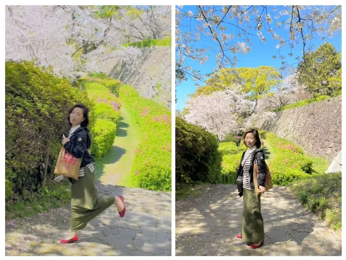 福岡城跡　石垣　桜