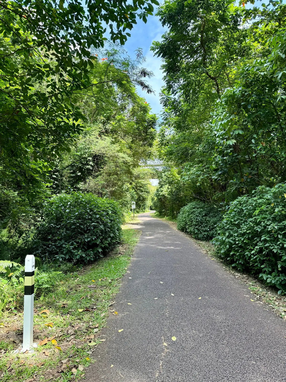 レイルコリドー