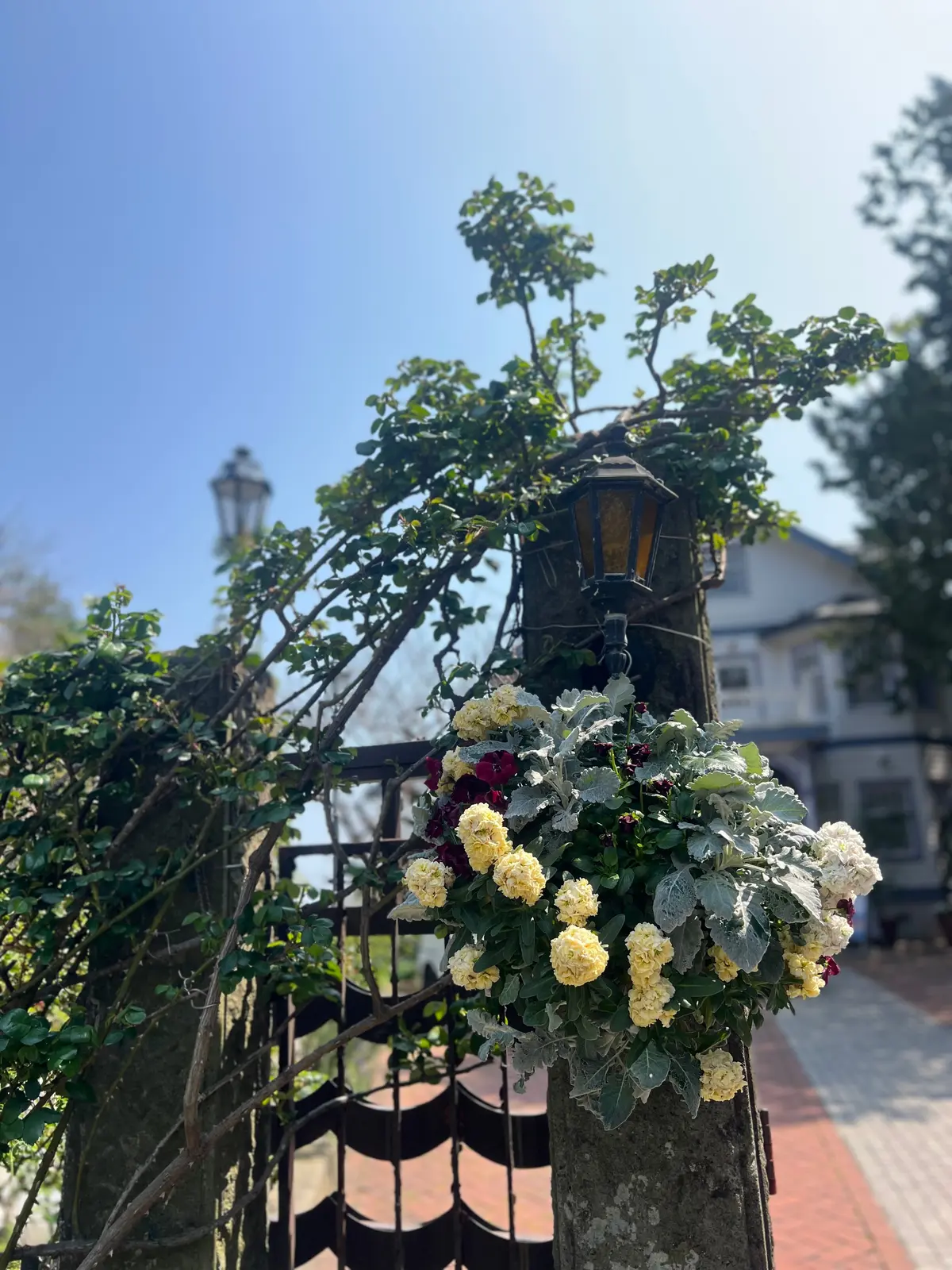 両家顔合わせ食事会。母として、私が選んだの画像_2