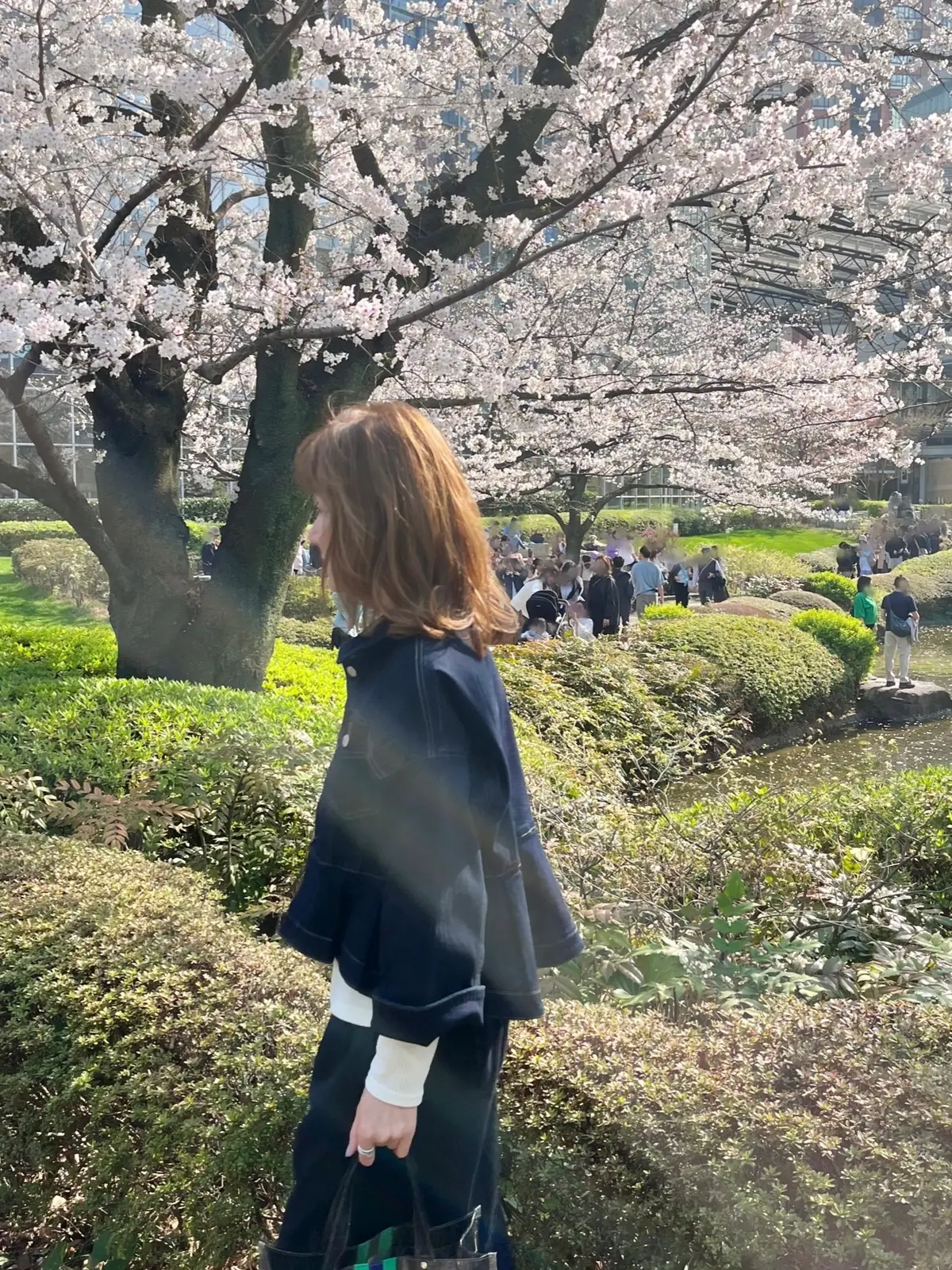 念願のお花見🌸🌸🌸の画像_16