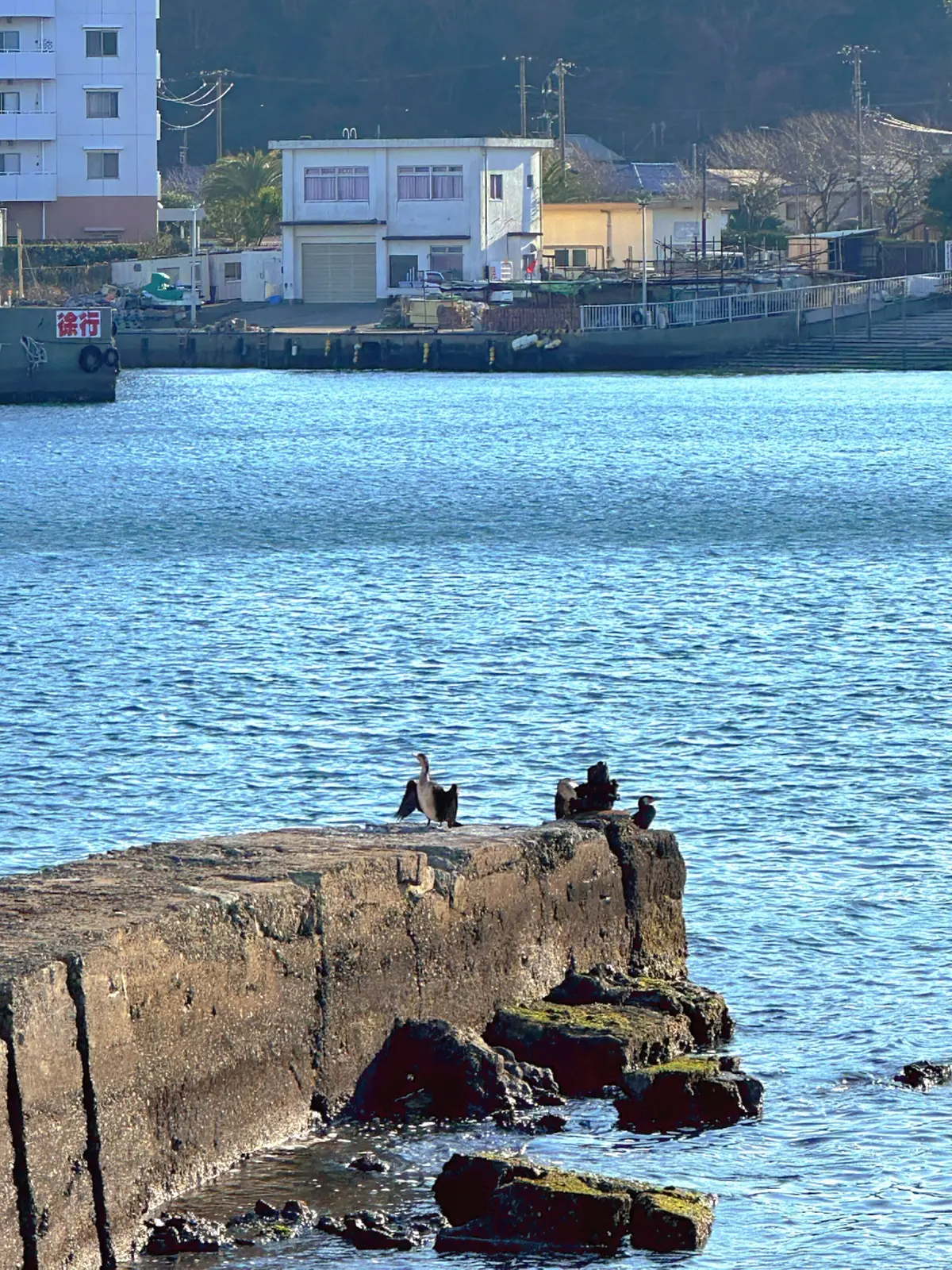 私を整える時間 - 横須賀の神社巡りと英の画像_7