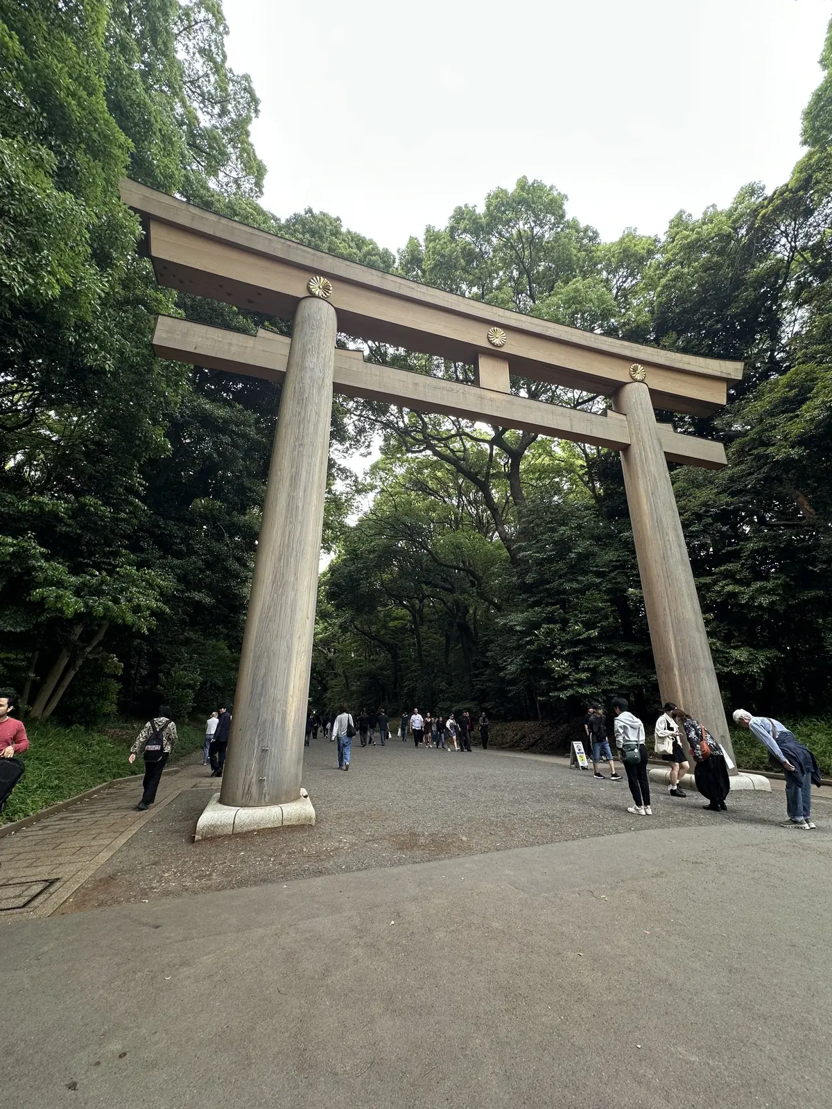 明治神宮　神社　神社巡り