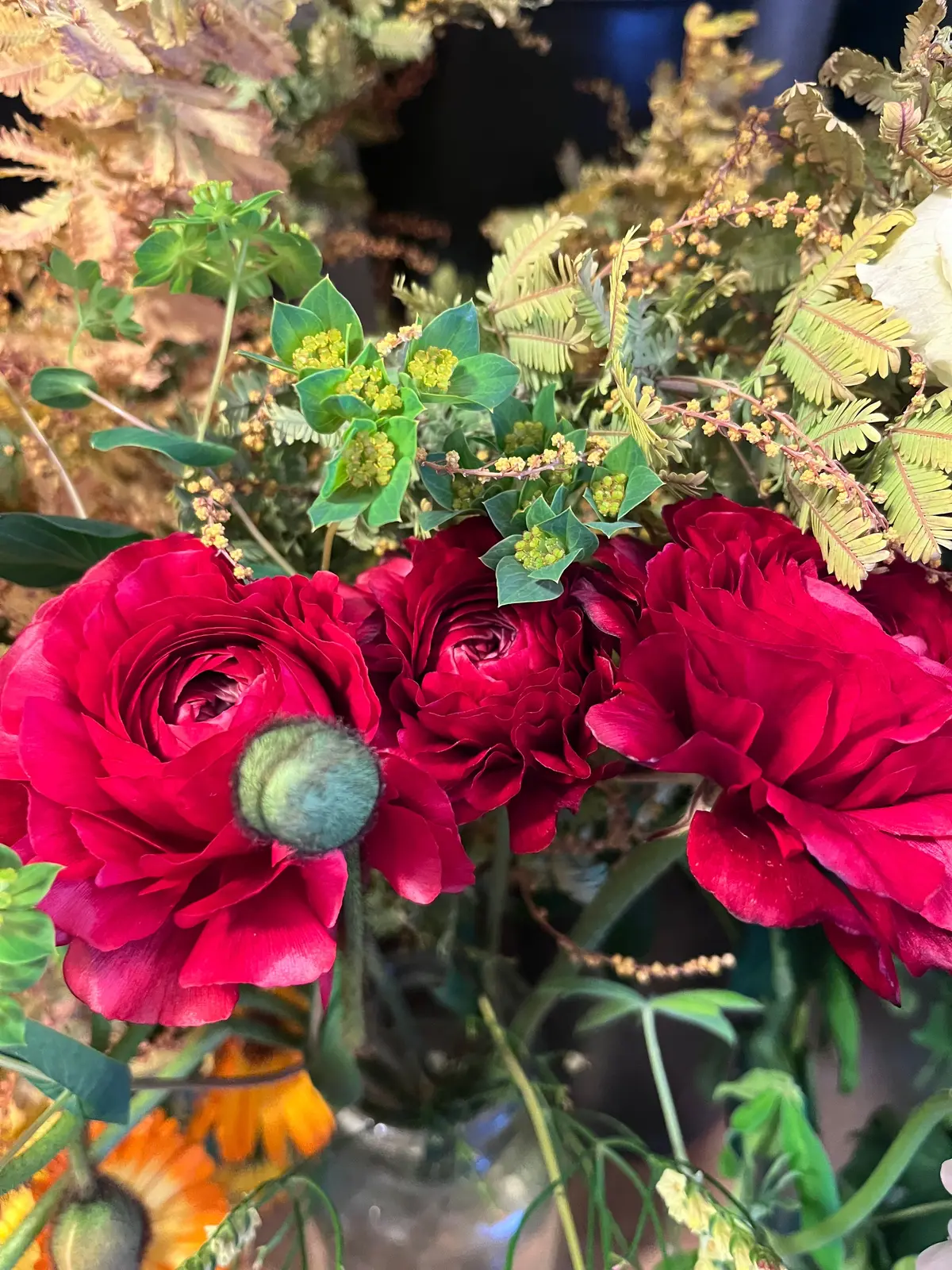 ラナンキュラス