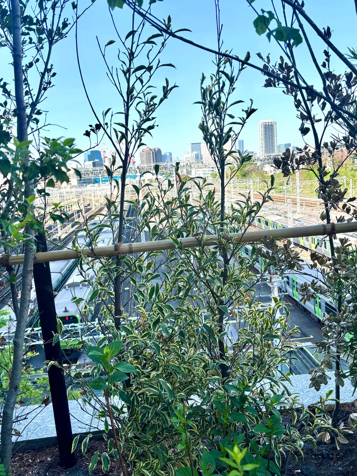 大井町トラックスへ行ってきました🎵の画像_2