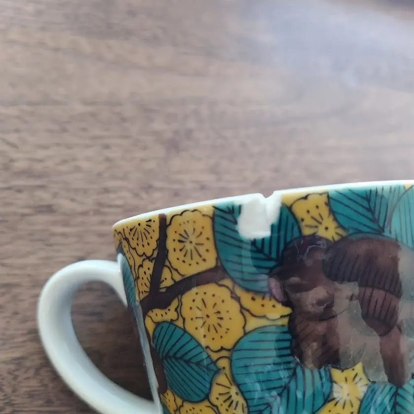 九谷焼　青手椿