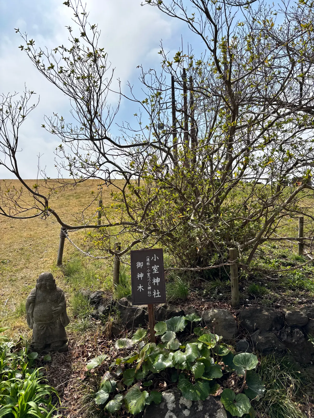 GUジーンズで春のお出かけ。伊豆の絶景スの画像_7