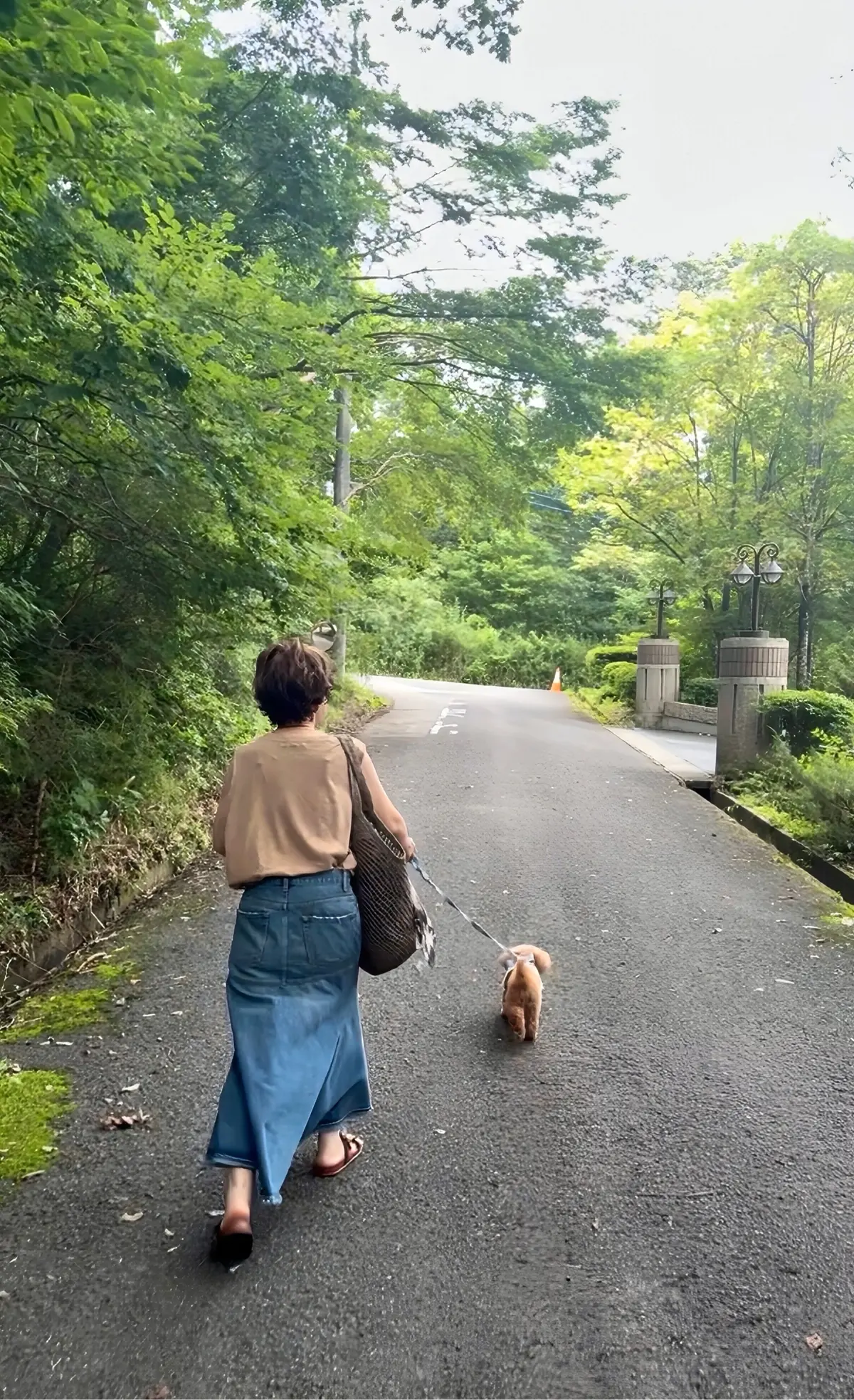 女性が茶色のトップスとデニムのスカートを着用し、茶色の犬をリードで散歩させている。背景には緑豊かな木々が生い茂る道が続く。
