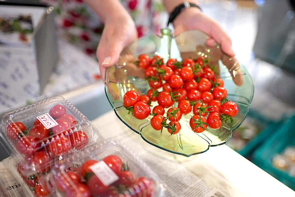 アグリコのプチぷよ