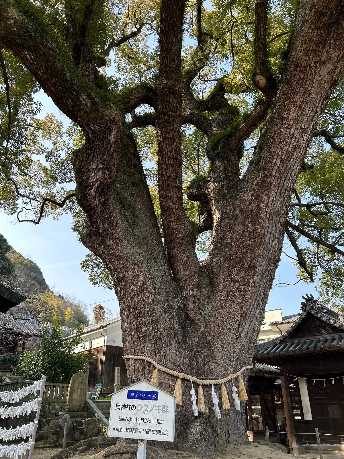 尾道　艮神社（うしとらじんじゃ）