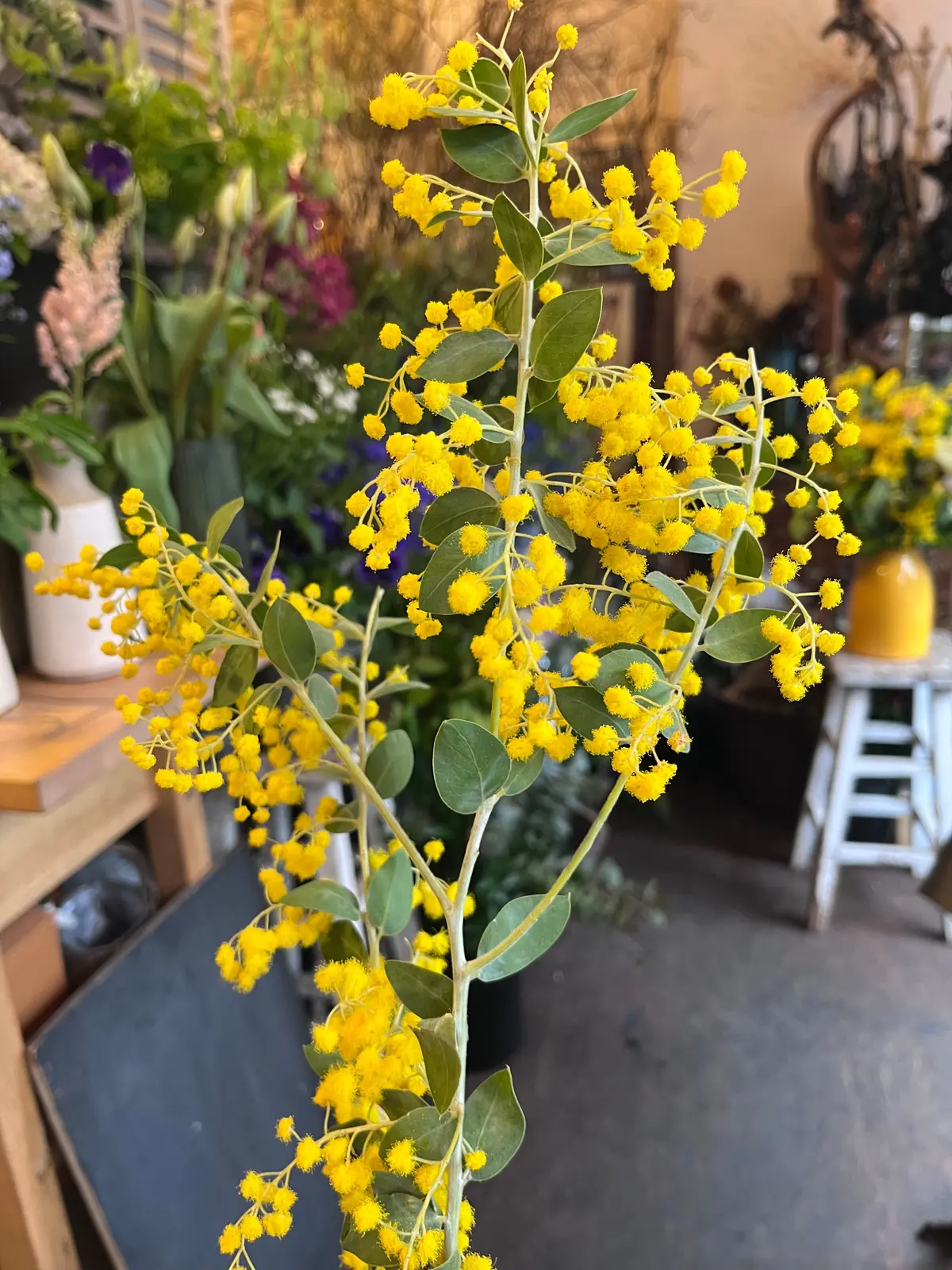 お花選びからのブーケレッスン＆仲良しメンの画像_5