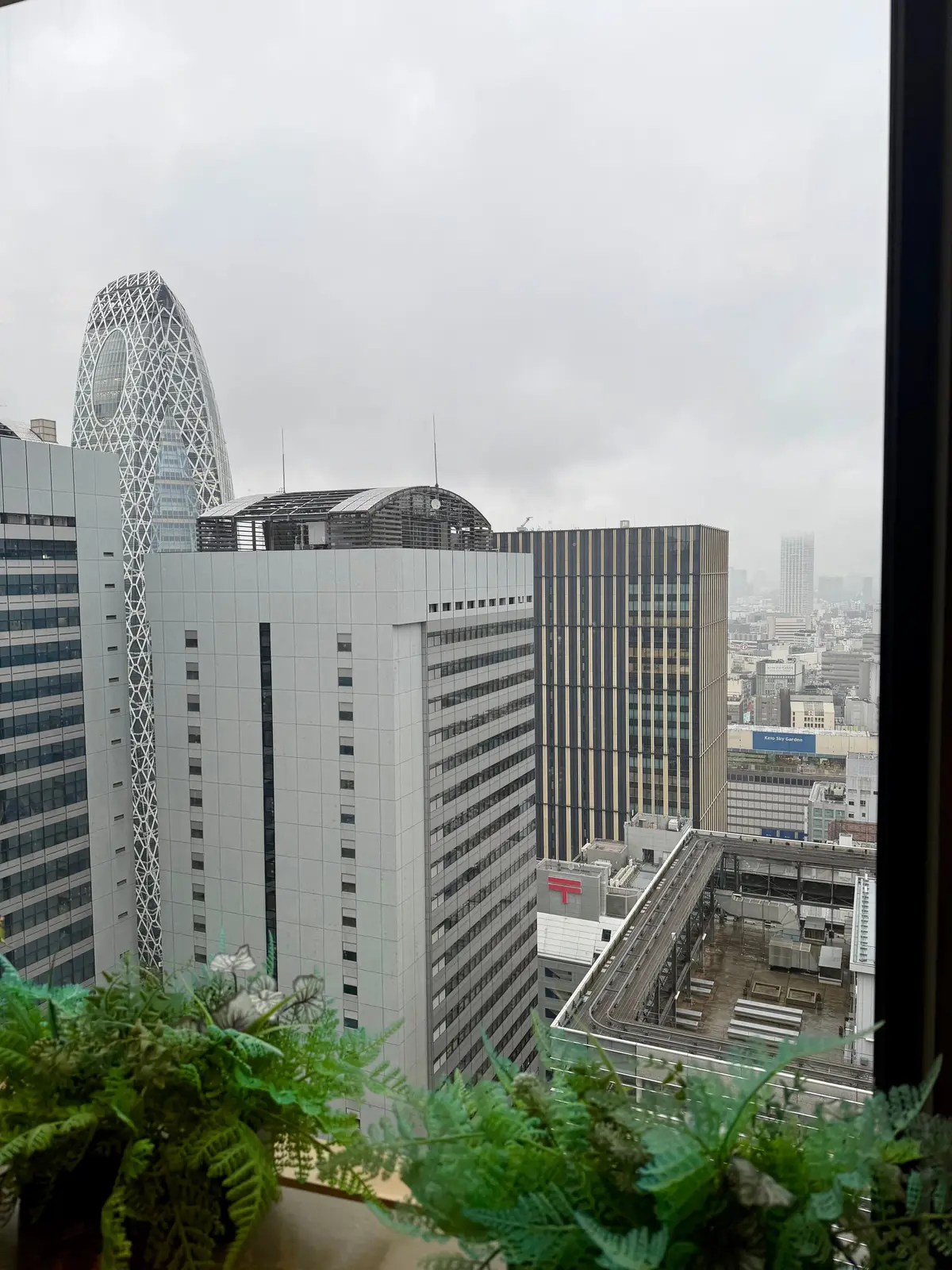 高層ビル群が並ぶ都市の風景。左には特徴的な曲線形のビル、中央には長方形のビルがそびえ立つ。窓辺には緑の植物が置かれている。空は曇り。