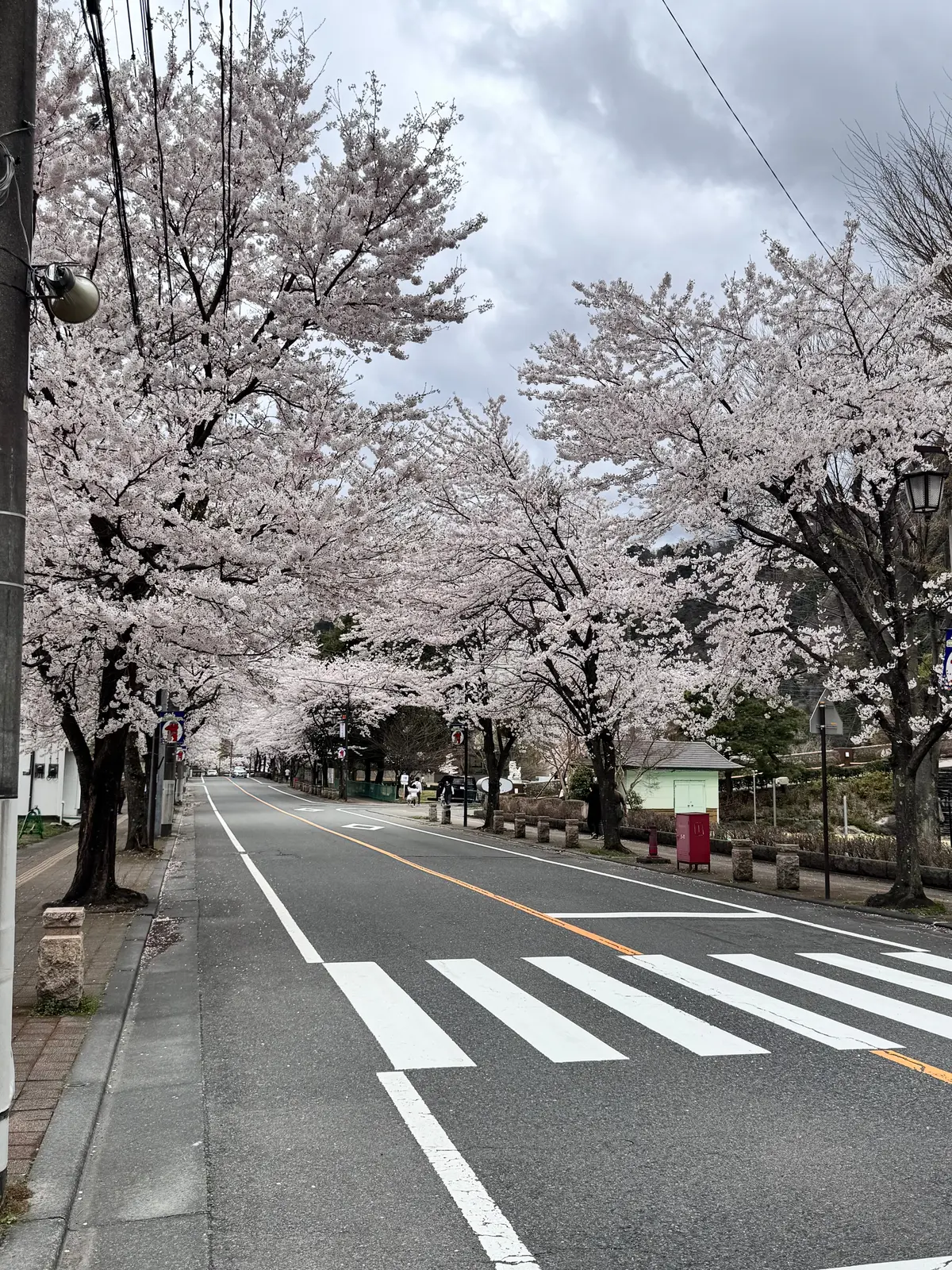 星野リゾート界・鬼怒川 | 桜を楽しむ露の画像_6