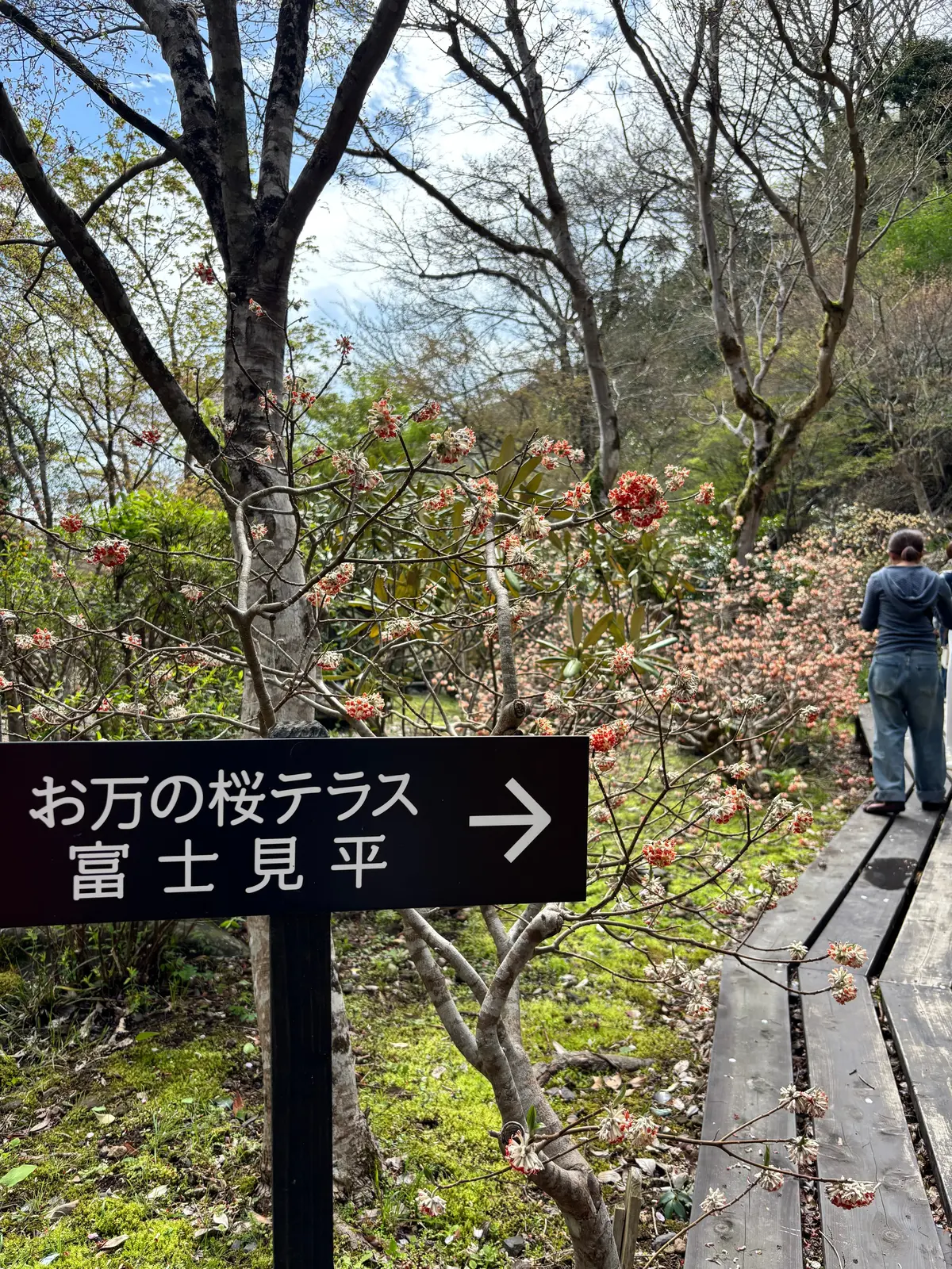 足湯に入りながら美味しいパンが食べられるの画像_4