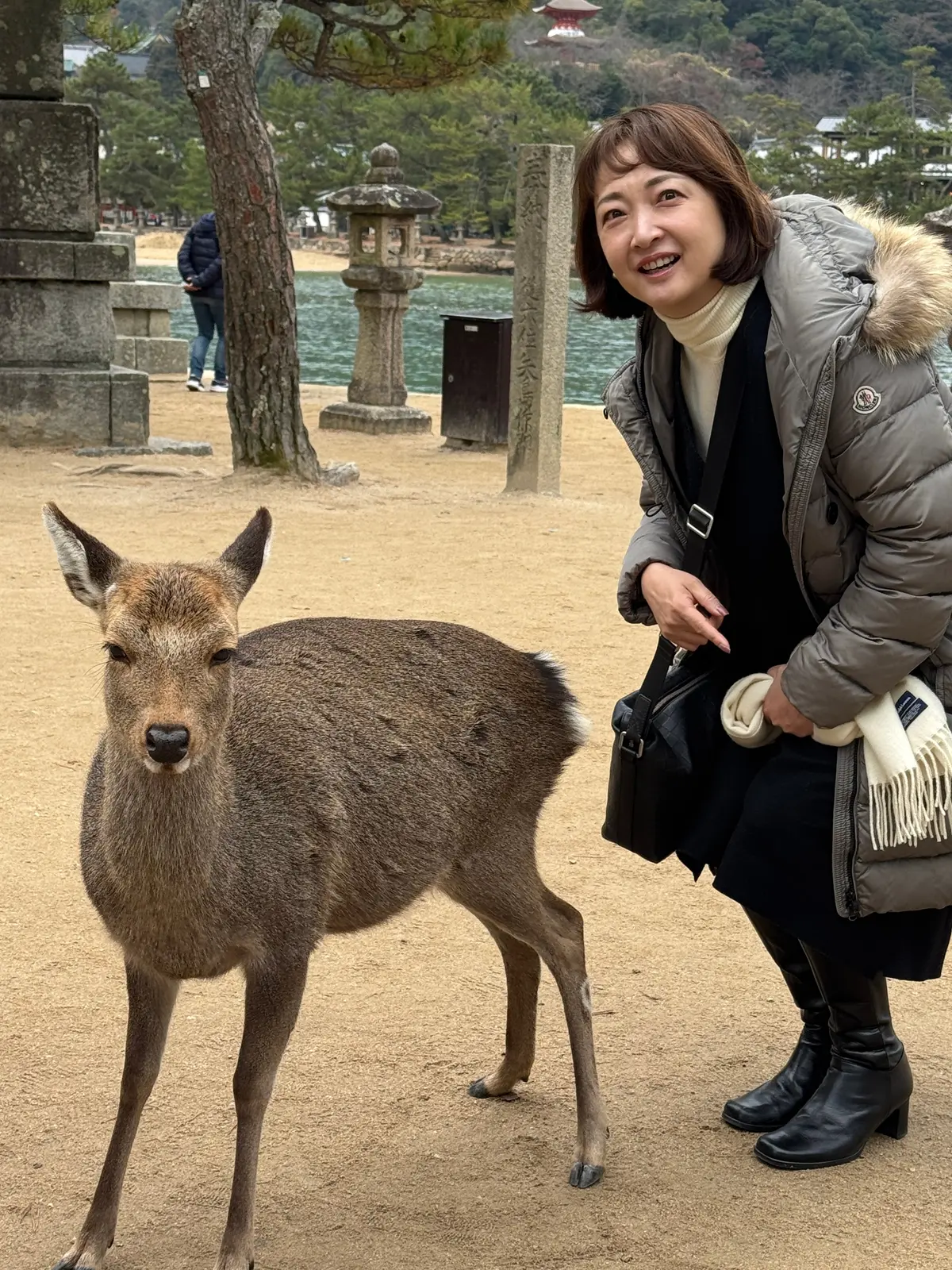 宮島　鹿　梅澤千佳子