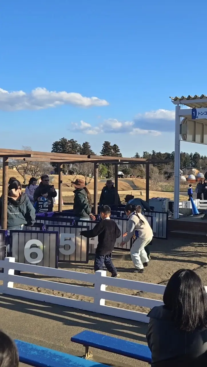 今の時期ならでは！菜の花とイルミネーショの画像_5