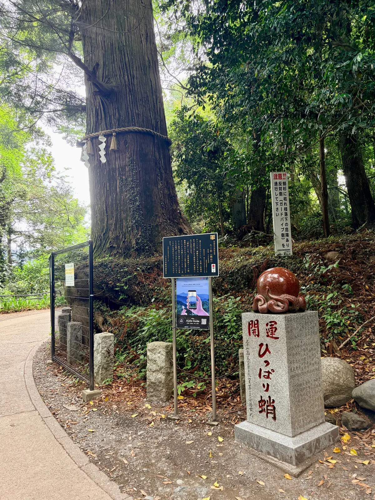 巨大な木に囲まれた公園の道で、情報板と石碑が並ぶ
