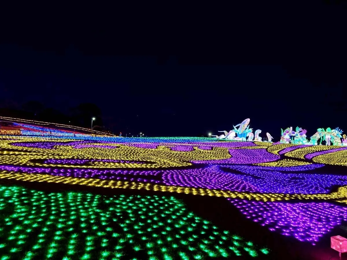 東京ドイツ村のイルミネーション　✨️キラの画像_23