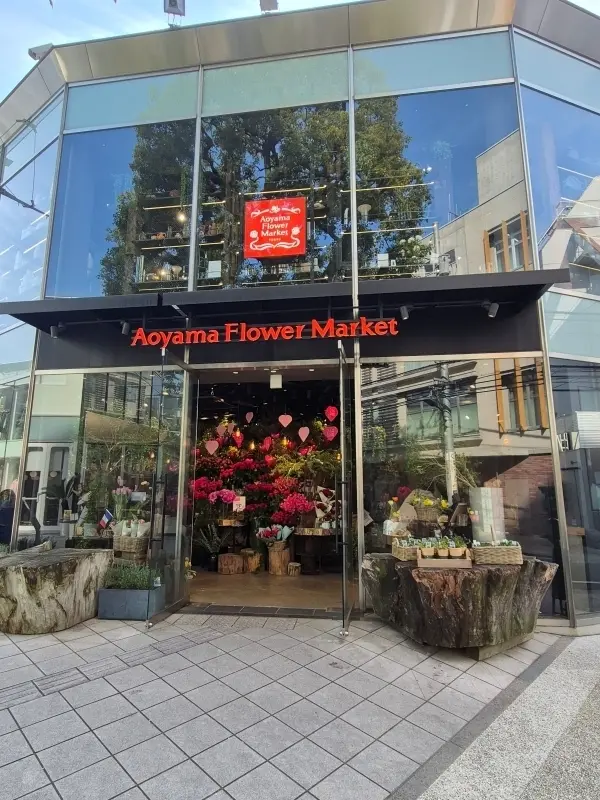 表参道で花活♪の画像_5