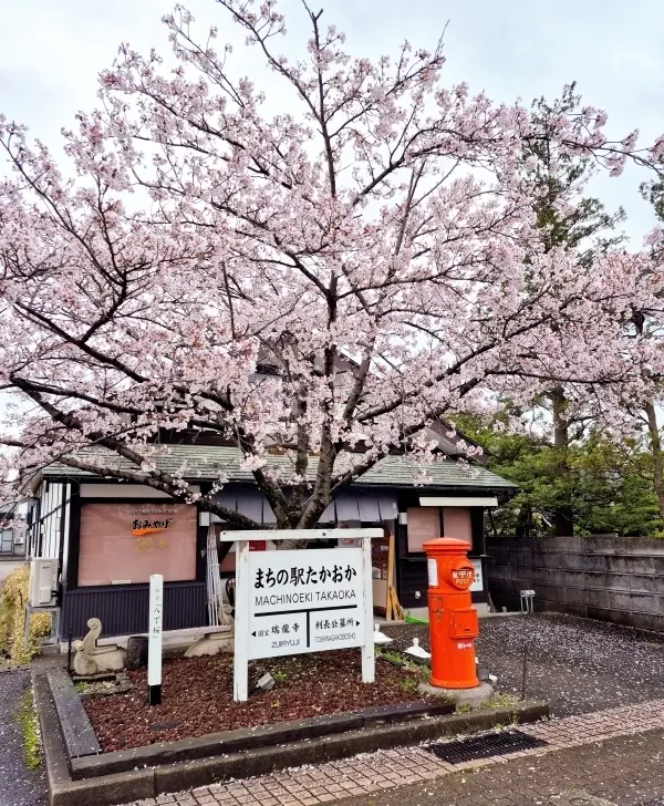 【富山・春旅】Vol.3雨の中「国宝・瑞の画像_1