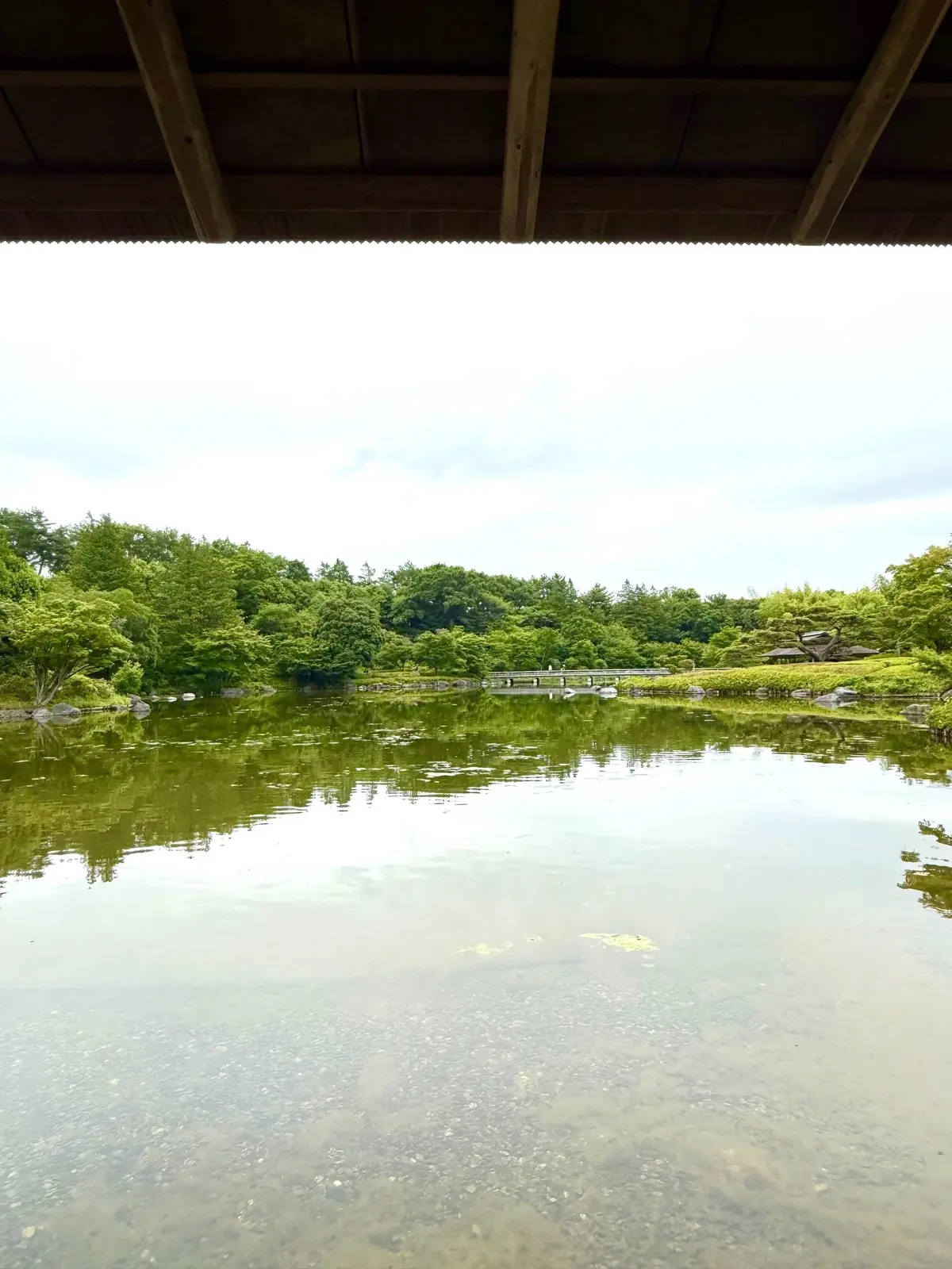 国営昭和記念公園、日本庭園、木造の屋根付き足場下に、緑豊かな森と清澄な池が広がる静かな自然風景。