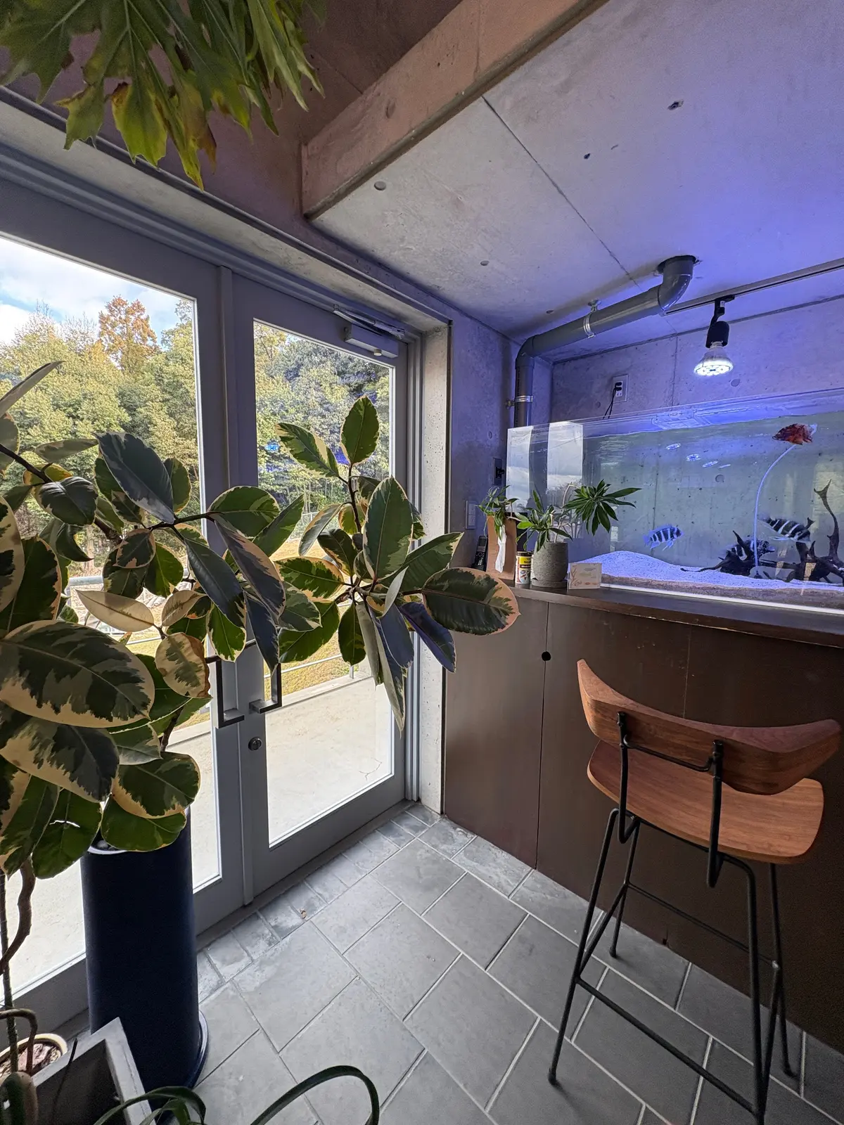 古民家でいただく十割蕎麦の画像_14