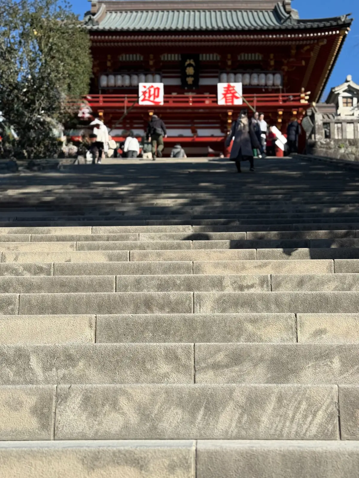 鎌倉　鶴岡八幡宮　境内