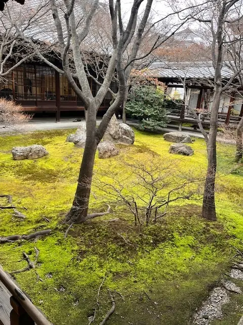 京都2日目は早足で・・・朝の建仁寺がとての画像_2