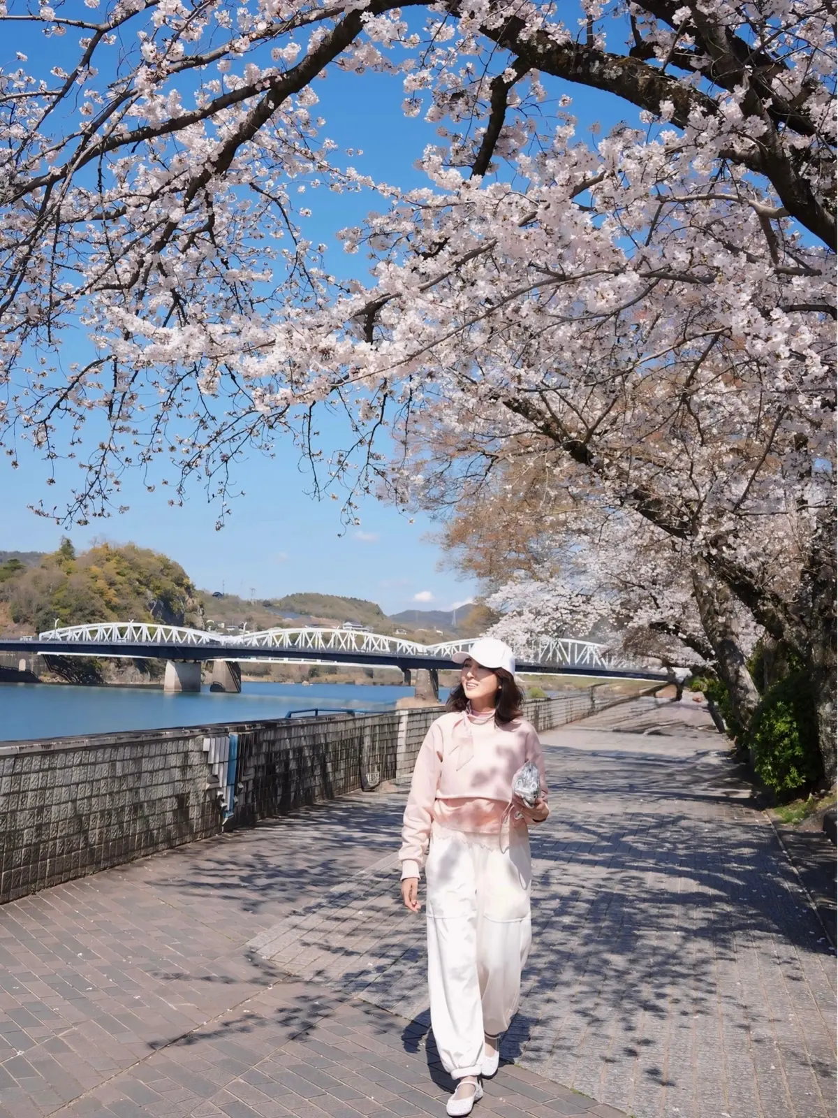 桜をめぐる、【ZARA】の春色レースキャの画像_18