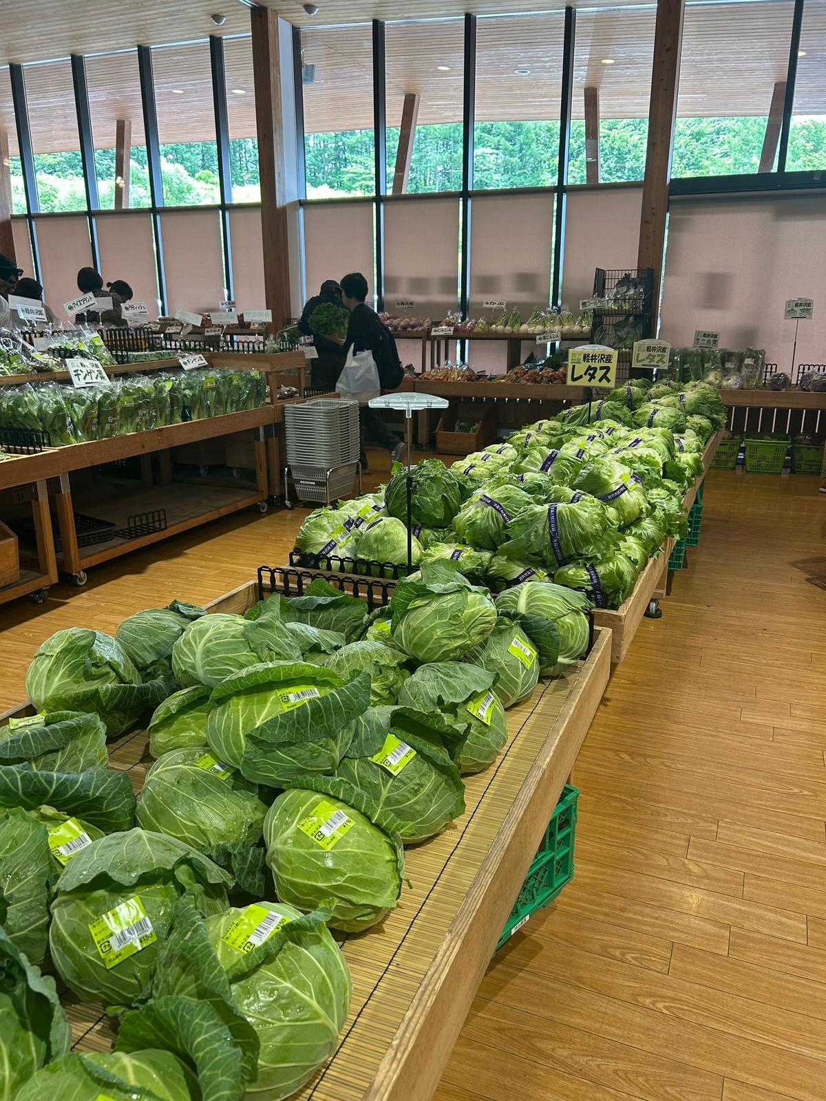 広々とした市場で、緑色のキャベツが大量に陳列されている。手前に山のように積み重ねられ、奥には整然と並んでいる。木製の棚や柱、窓から見える緑豊かな風景が背景にある。