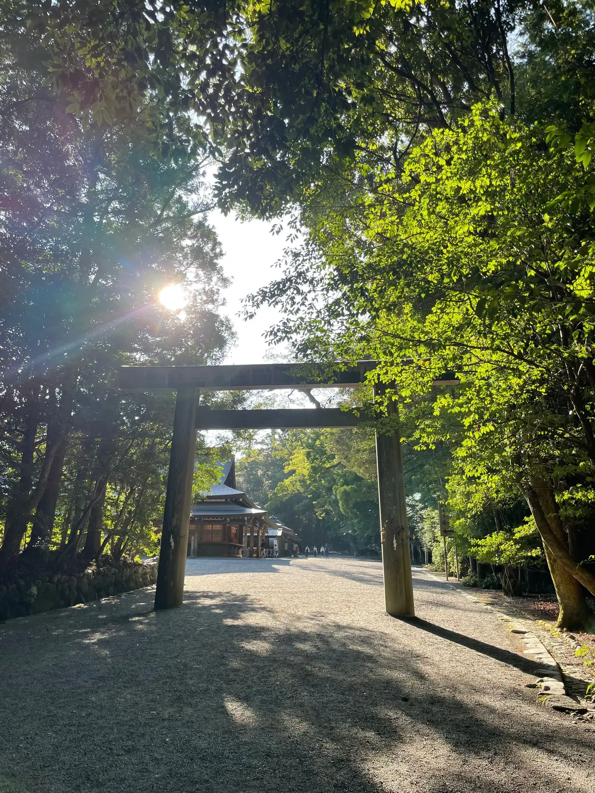 木々に囲まれた鳥居の先に続く石畳の道。太陽の光が差し込み、神聖な雰囲気を醸し出している。背景には社殿が見える。