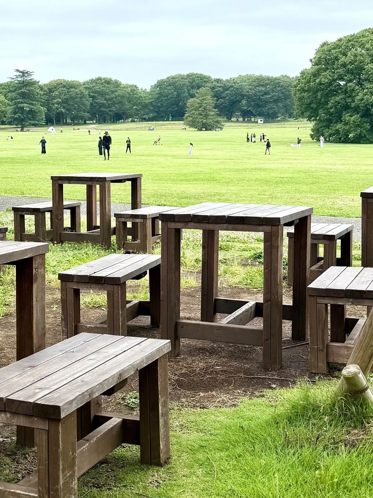 国営昭和記念公園、みんなの原っぱ、オカカフェ、広場に配置された木製の長机と椅子、背景には緑豊かな木々が広がる