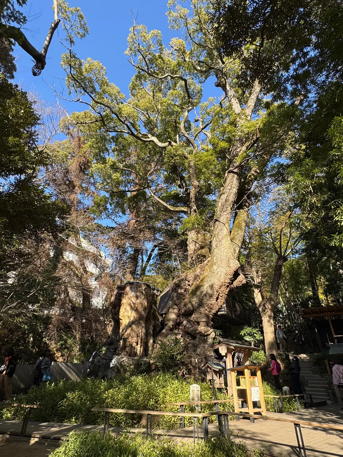 親友と弾丸熱海旅行 Vol.2 〜パワーの画像_7