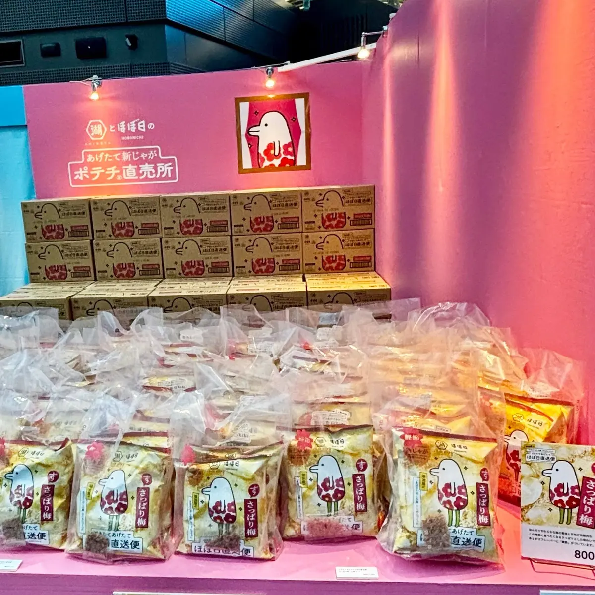 ピンクのディスプレイ台に「のぼのち」ブランドの焼き菓子が並んでいる。段ボール箱とプラスチック袋に入った商品が複数あり、袋には白い鳥のキャラクターと日本語の文字が印刷されている。
