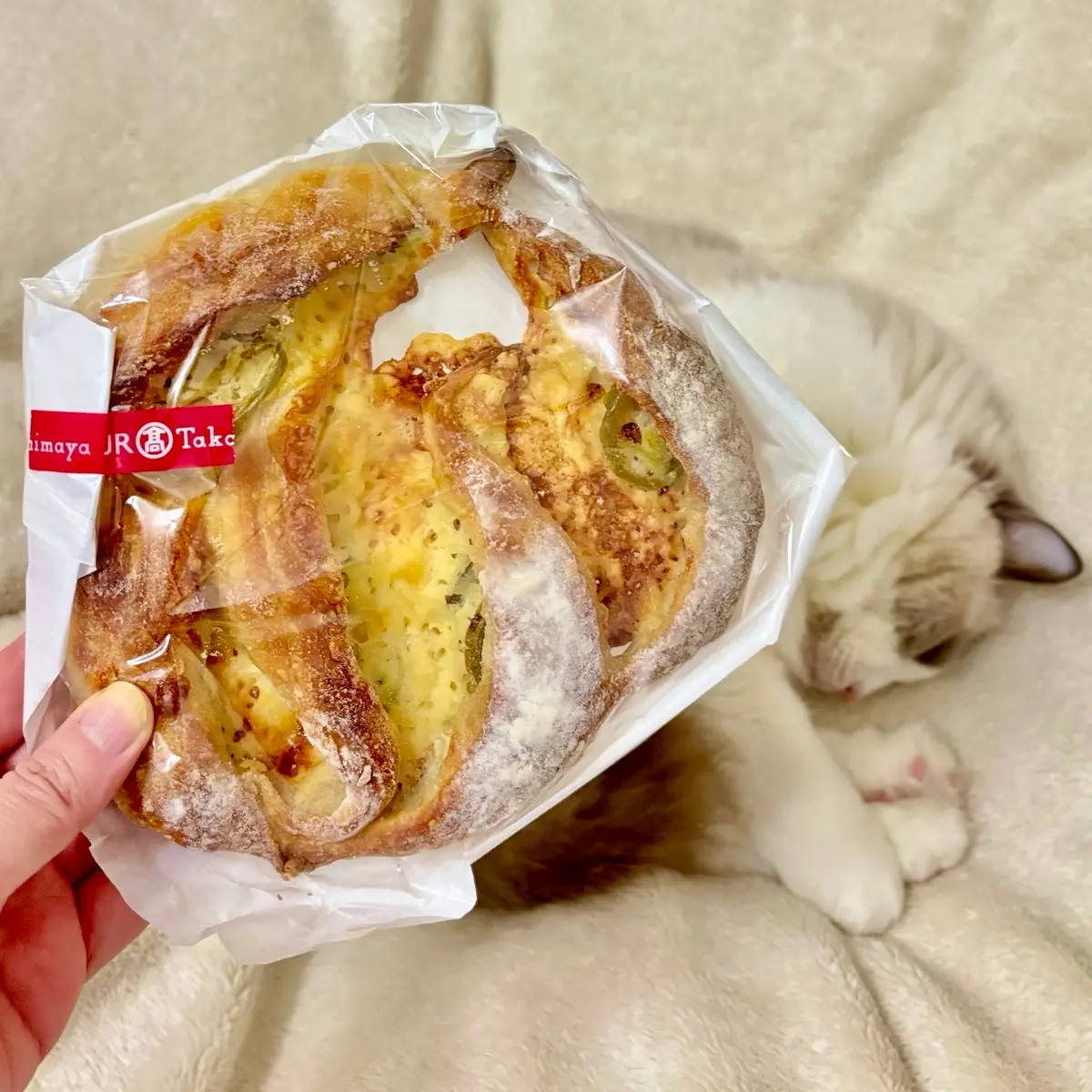 青唐辛子とチーズのパン