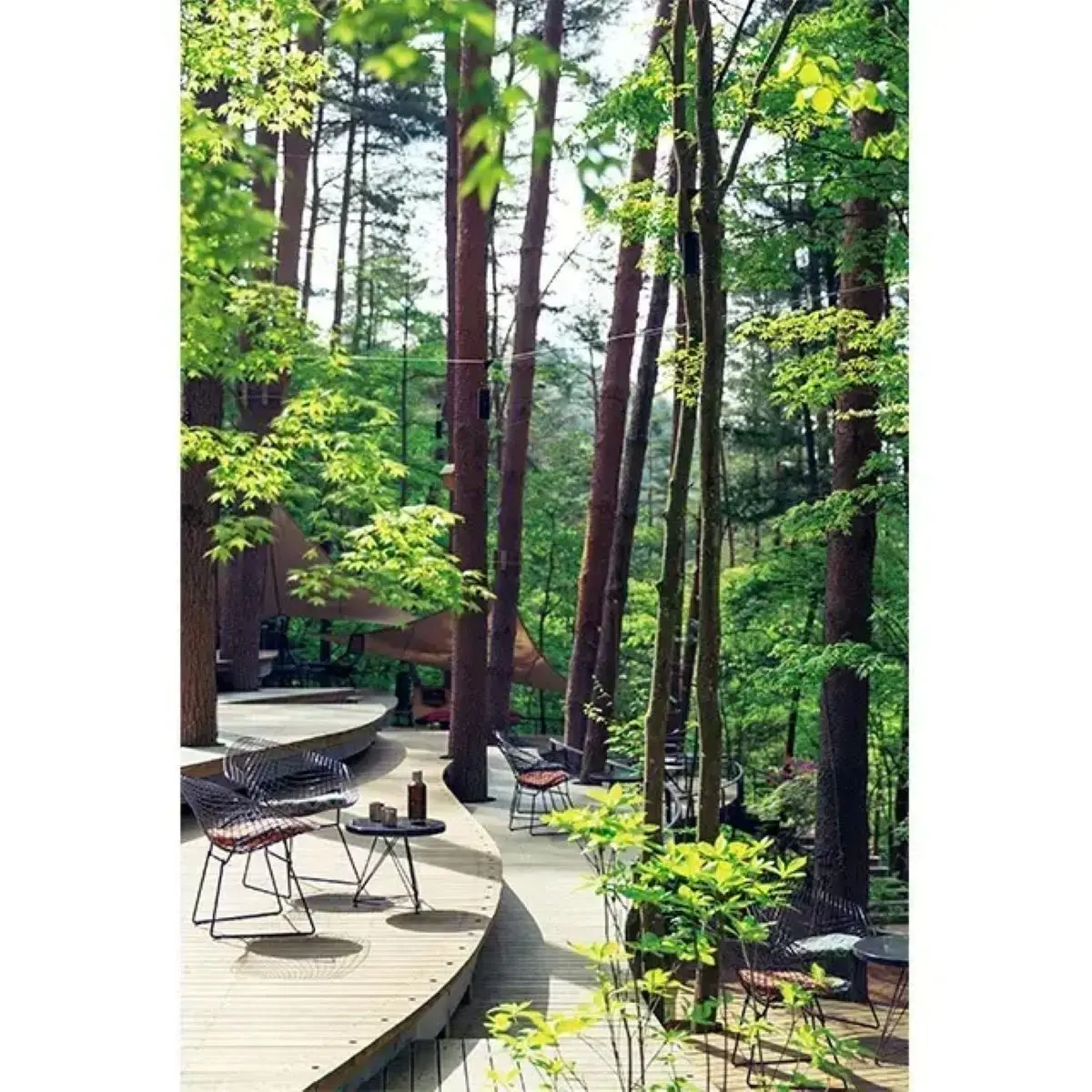 富士山が見える宿 山梨県 星のや富士 クラウドテラス