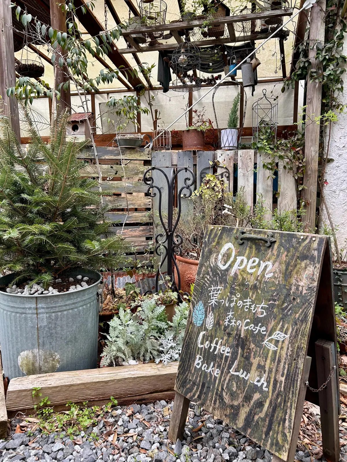 大山エリアの可愛い森のカフェへの画像_4