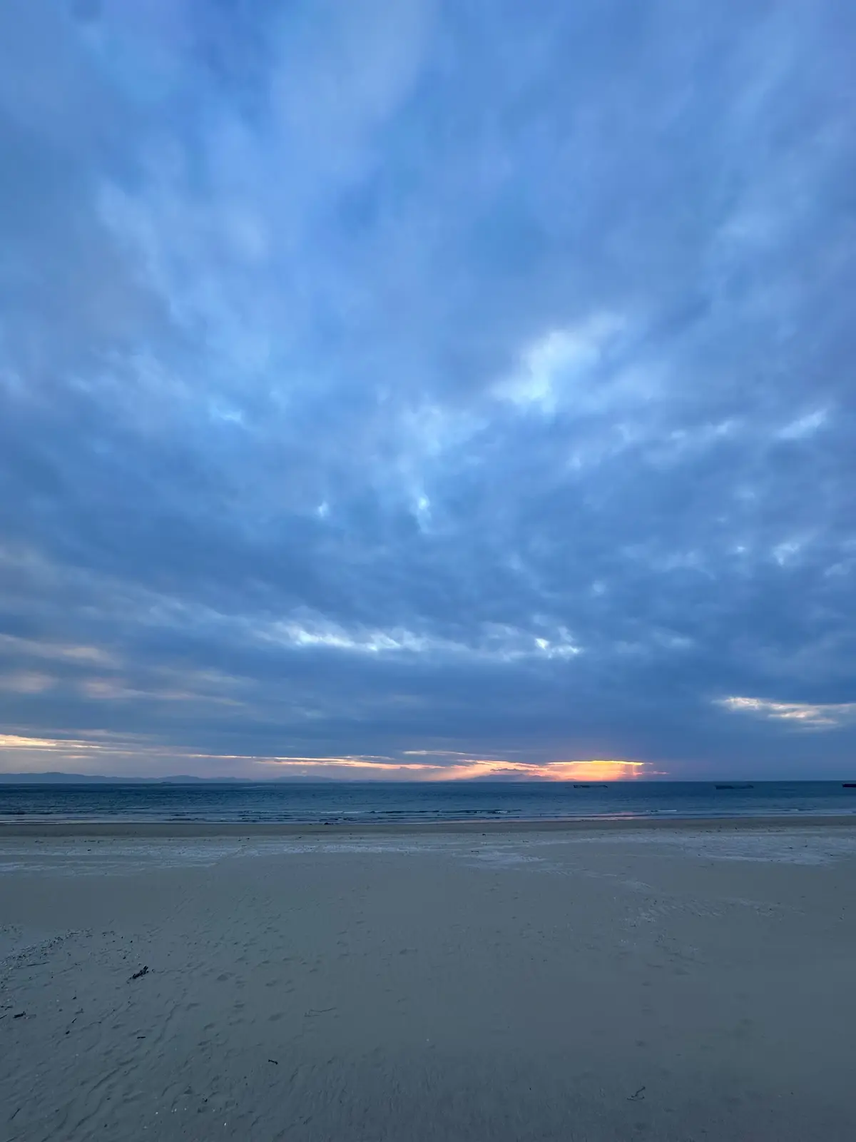 早春の海へ誘われて・・・古民家カフェもビの画像_10