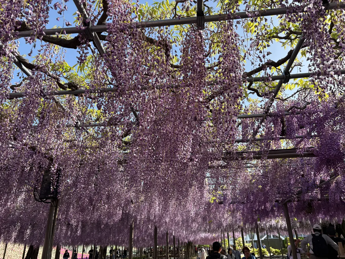 姉とふたり、笑いながら過ごした時間。の画像_1