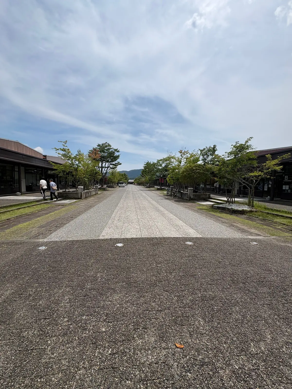 広場に広がるアスファルトの道、左右に木々や建物が立ち並び、遠くに山が見える静かな景色
