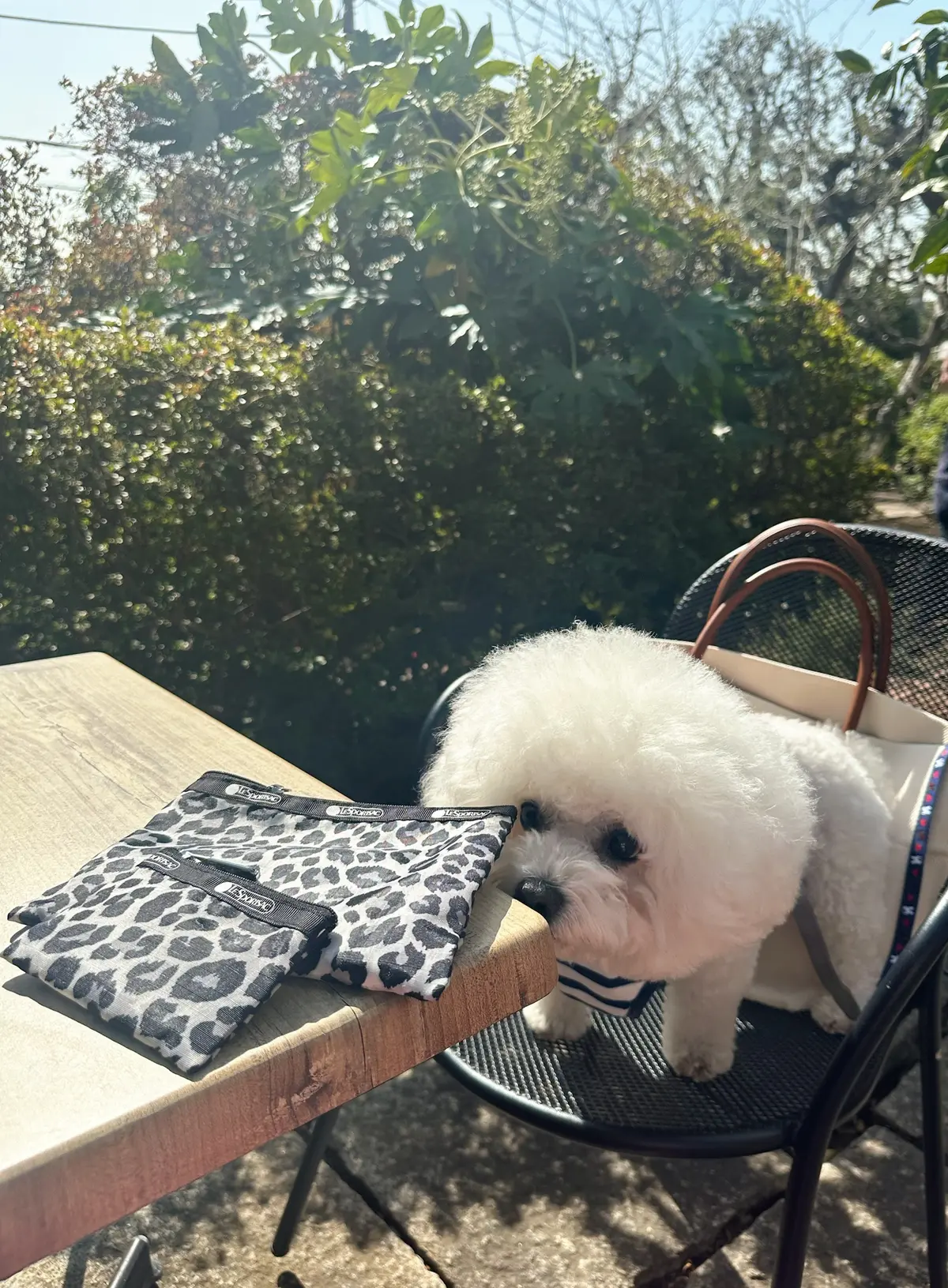 今年の付録ポーチも期待以上、[レスポートの画像_7