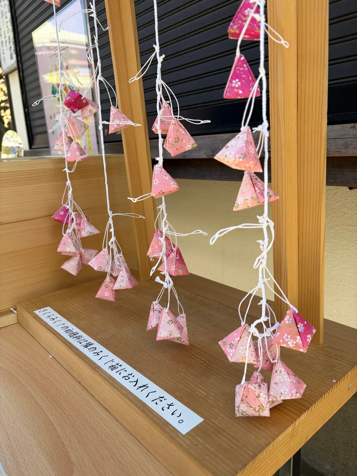 【世田谷の河津桜】春がきた♪ピンクがいっの画像_7