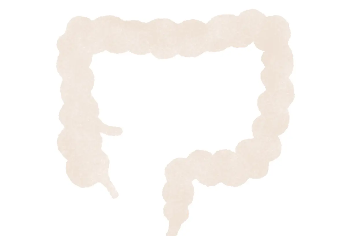 その役割は思った以上にスゴかった！ 腸って、実はナニモノ？　イラスト