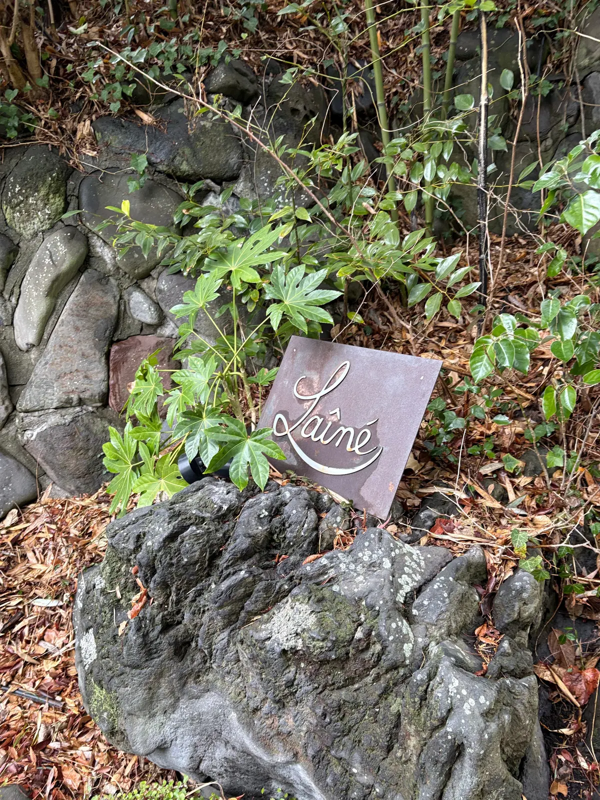 レストランのレストラン前には森が広がり、一瞬で南仏へと旅行気分に浸れます。